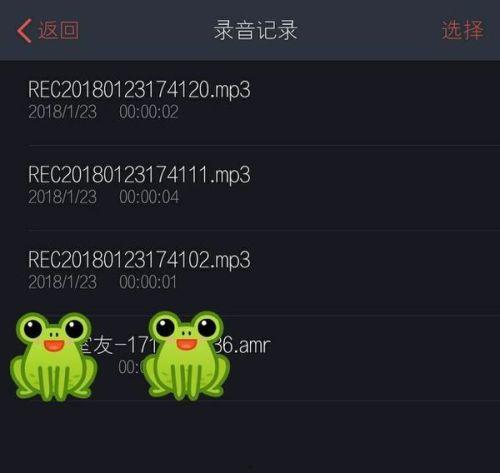 娱乐吃瓜音频在哪找到的,娱乐吃瓜音频的神秘来源